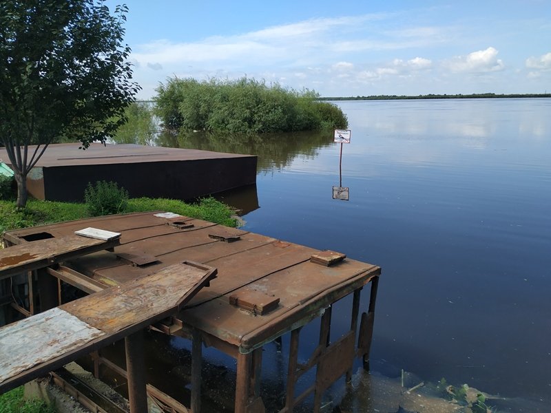 Дом у Амура Чусовой. Пойма Амура. Пойма Хабаровск. Новокуровка Хабаровский край.