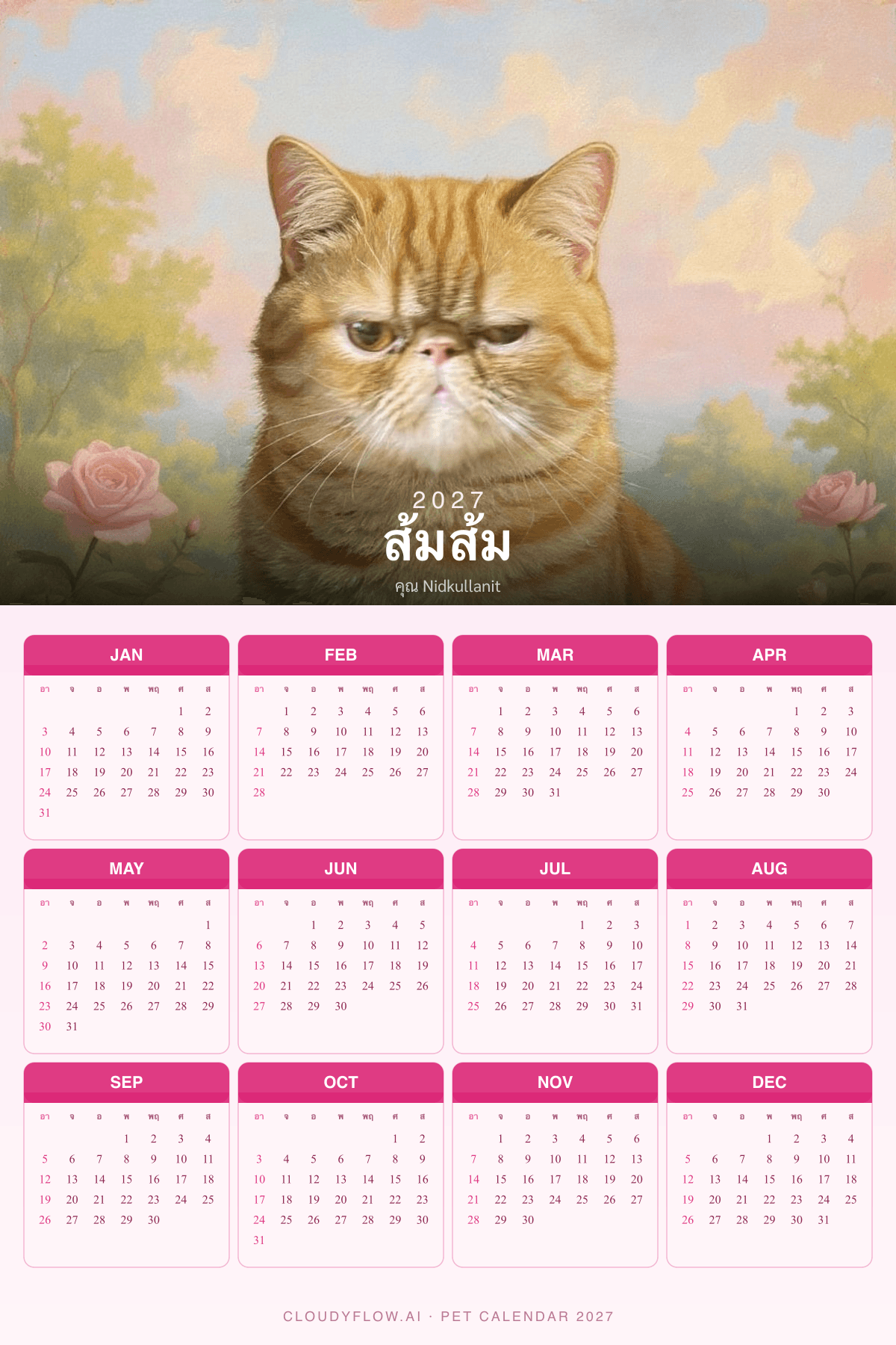 🌸 Pink 2027