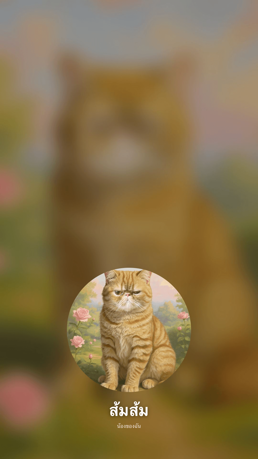Lock Screen