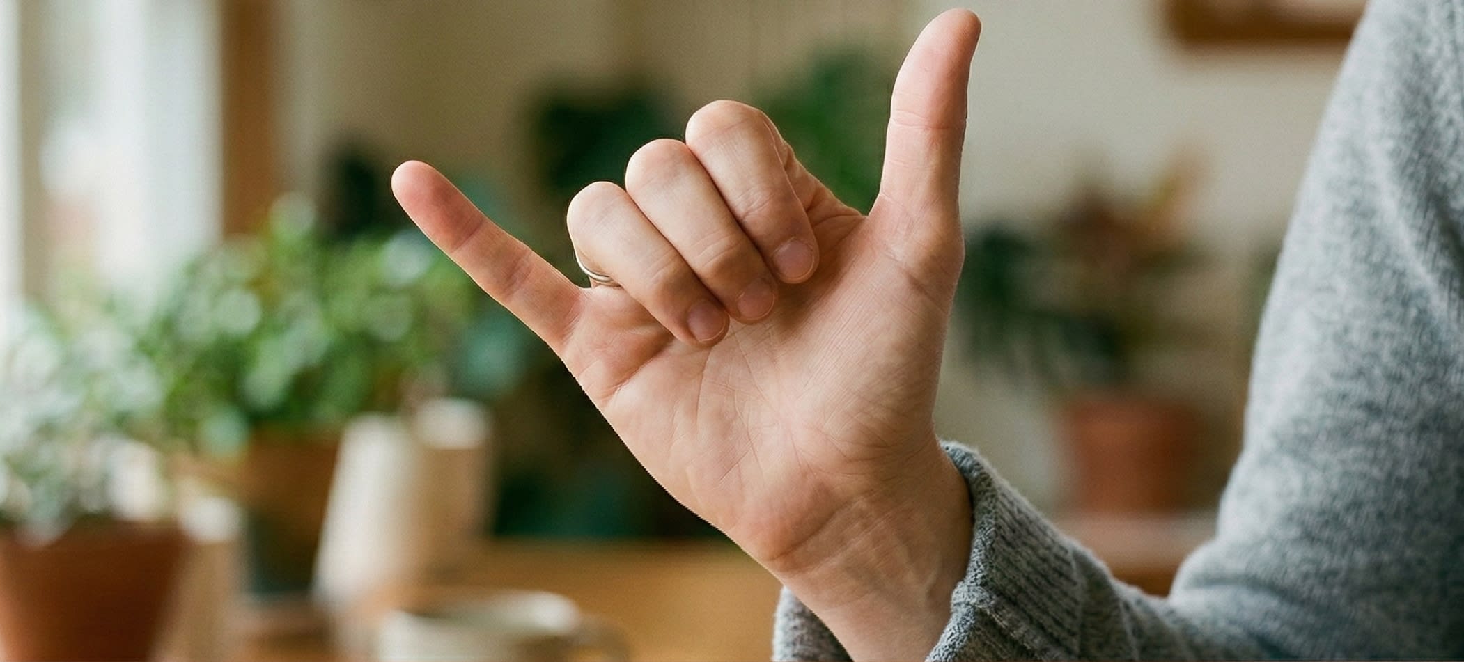 An illustrated guide showing a hand making the gesture for the number 6, with the thumb and pinky extended
