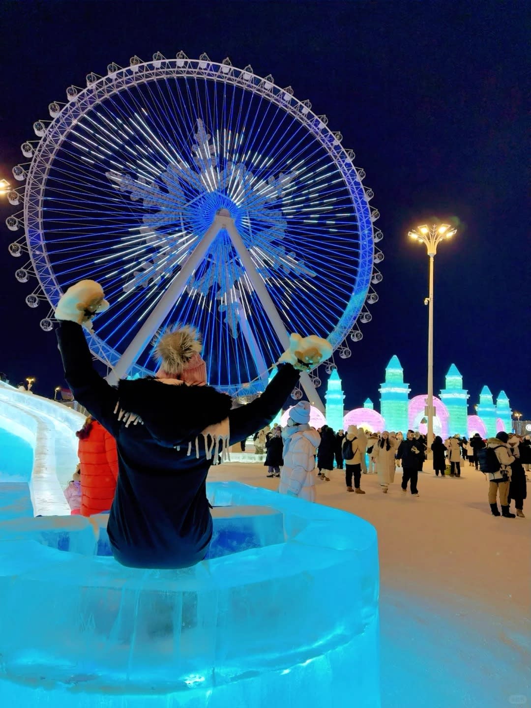 Snowflake Ferris Wheel at Night