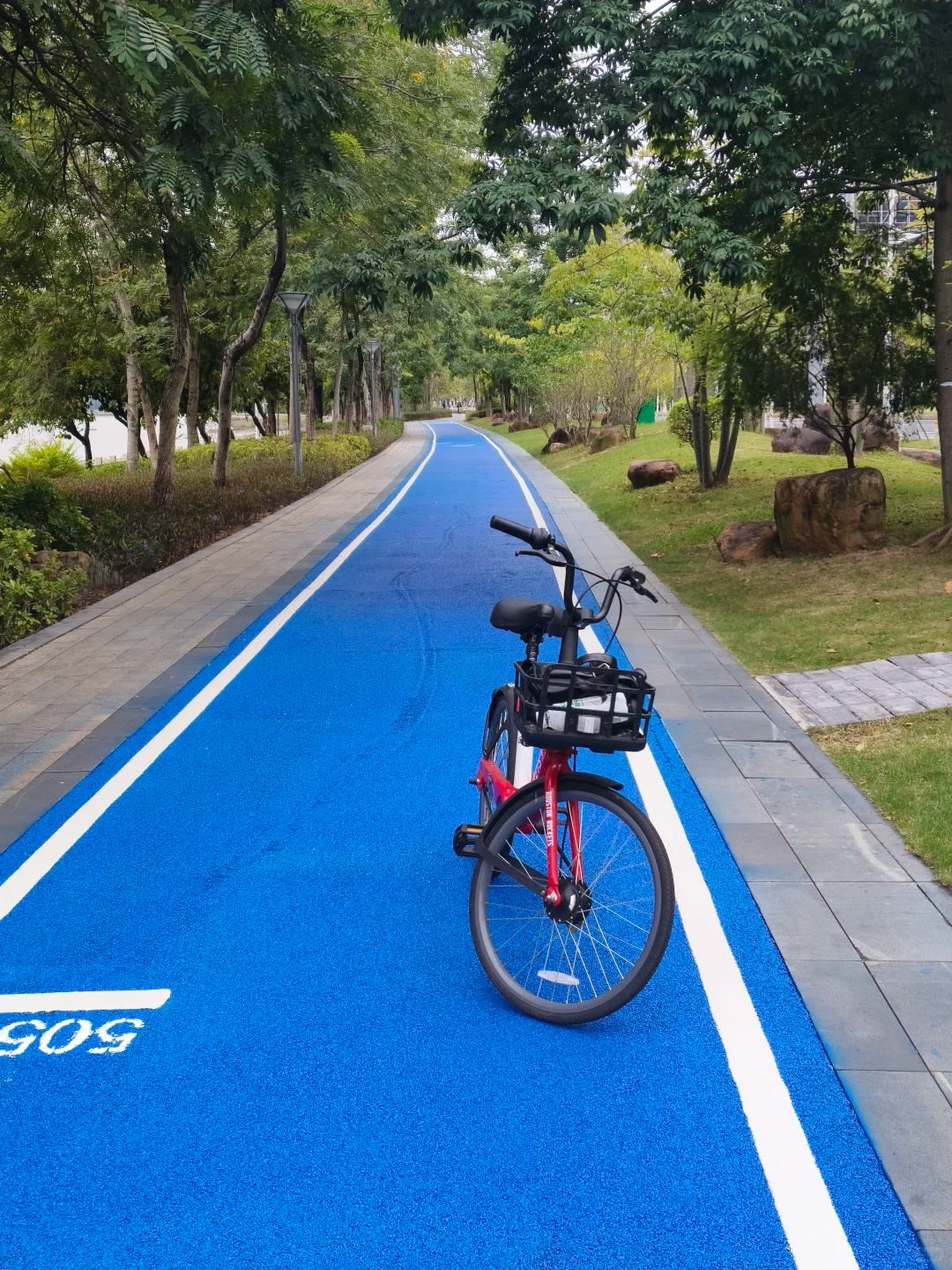 Rubberized jogging track under dense tree canopy on Bio Island