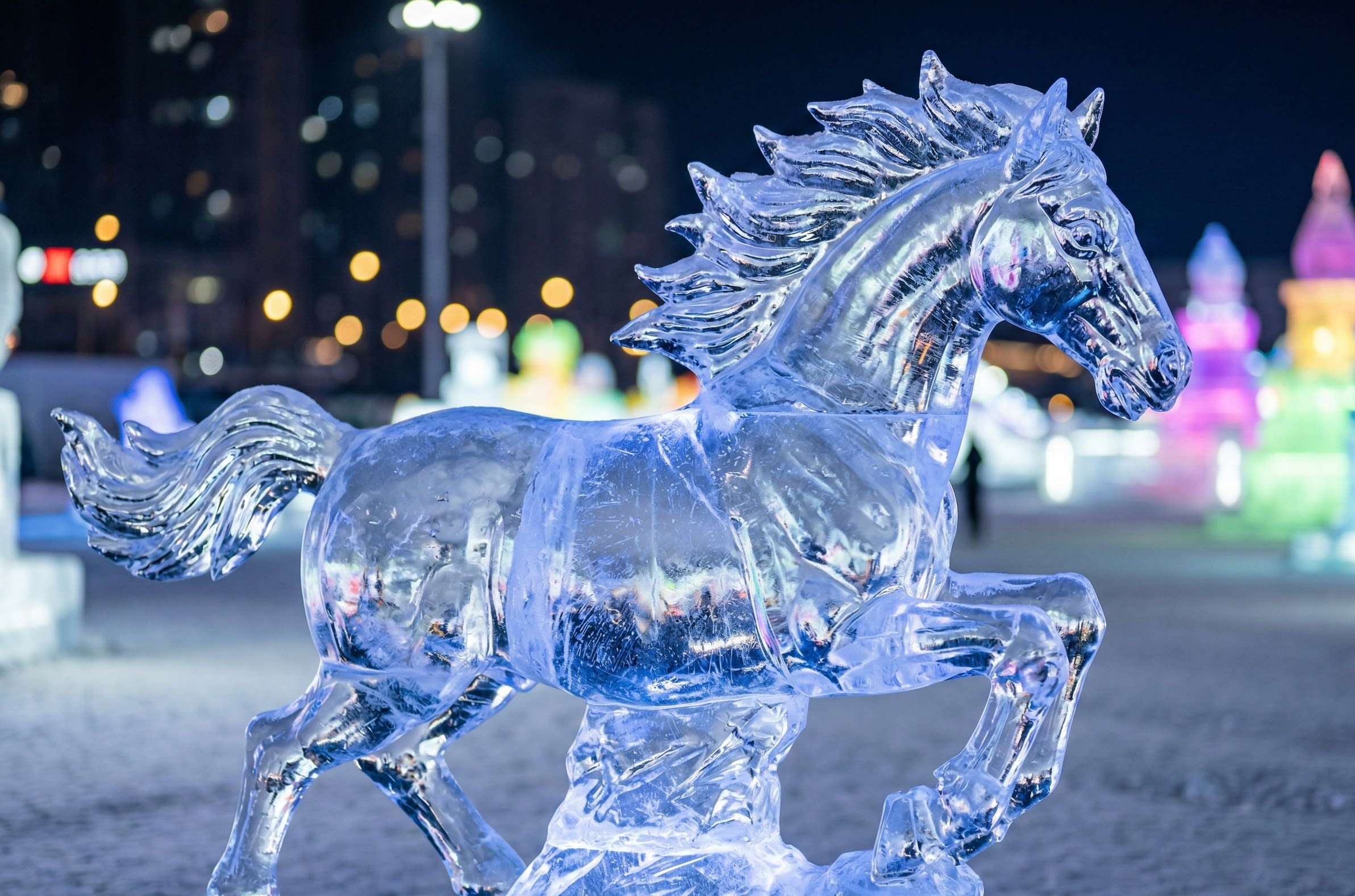 Harbin Ice Sculptures