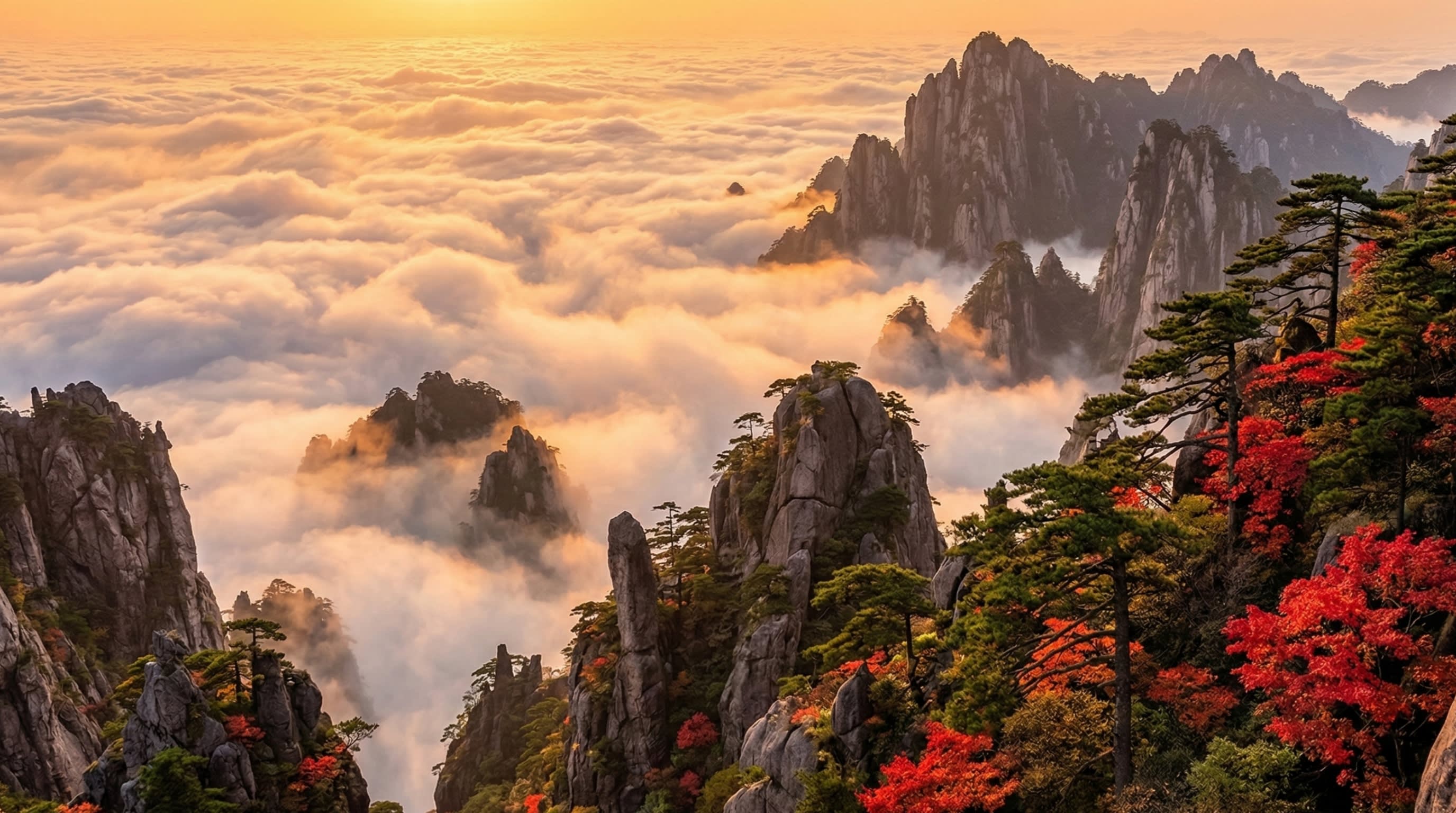 The iconic granite peaks and ancient pine trees of Huangshan interspersed with bright crimson maple leaves at sunset