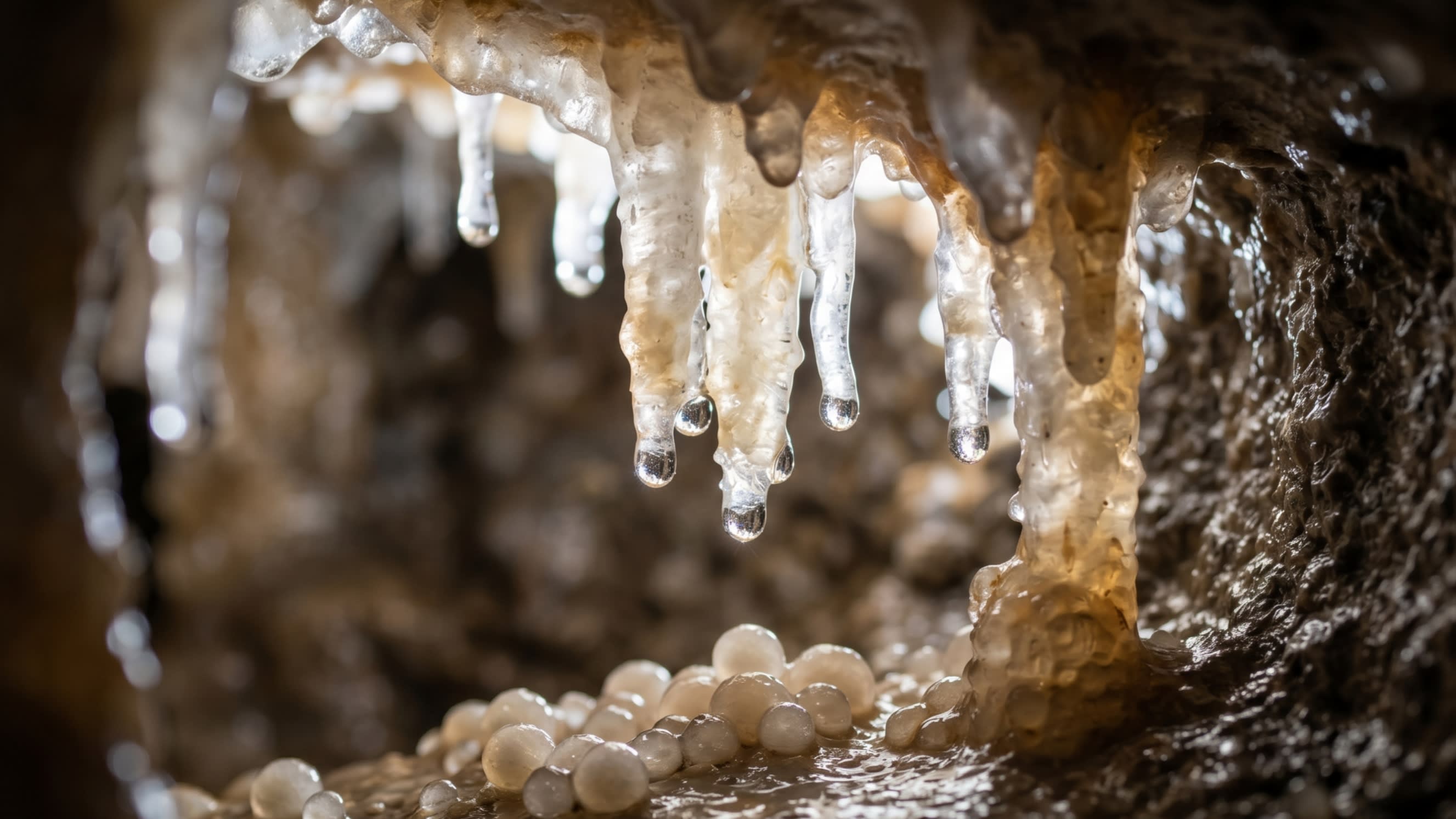 Image 3 - The crystalline detail of cave formations millions of years in the making