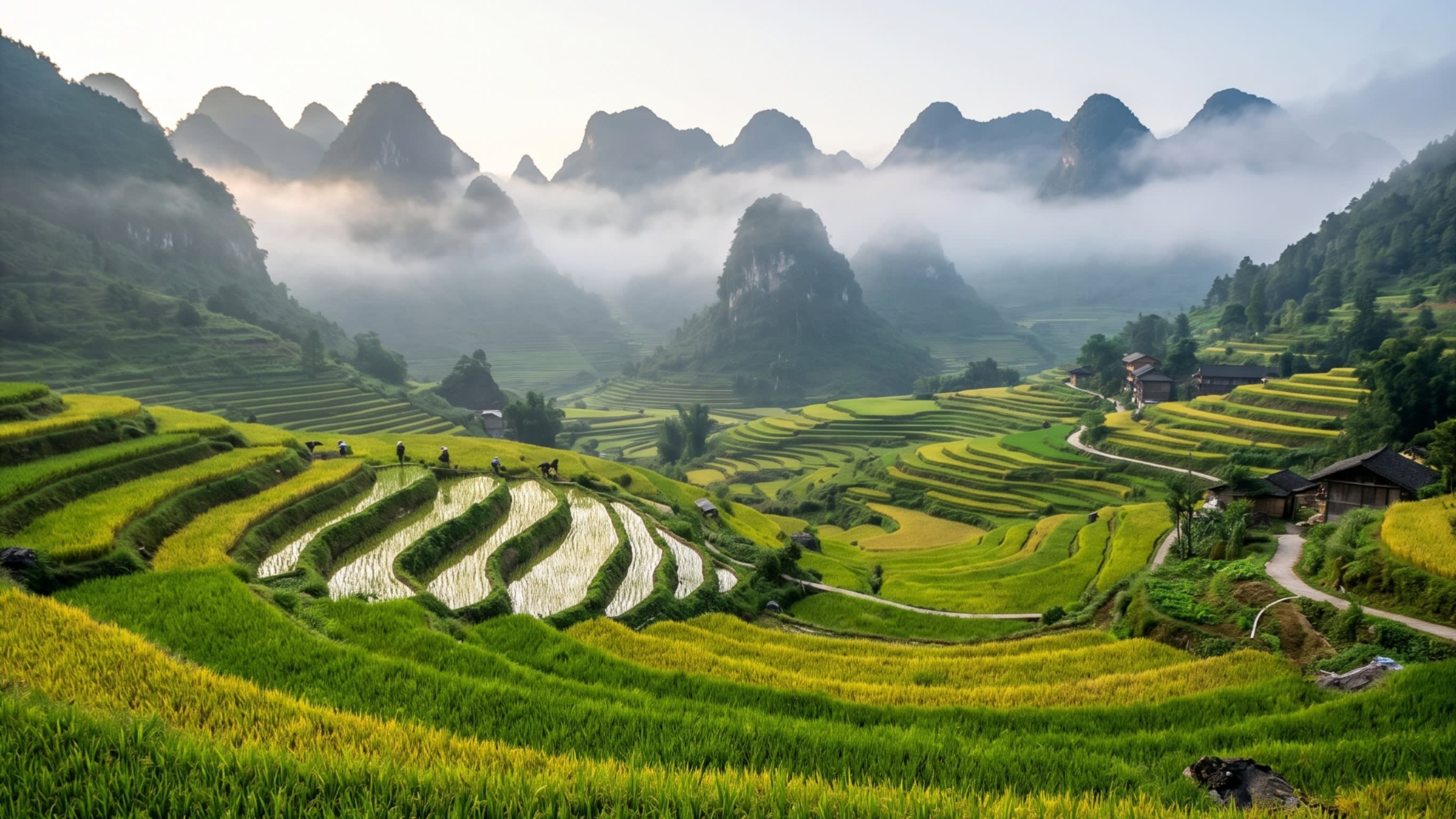 Image 4 - The golden morning light over the terraced paddies, where time follows the sun