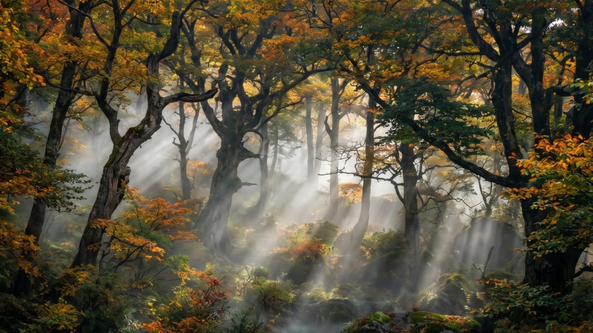 Living Fossils: A 2026 Guide to Identifying Rare Flora and Fauna in China’s 5A Nature Reserves