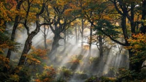 Living Fossils: A 2026 Guide to Identifying Rare Flora and Fauna in China’s 5A Nature Reserves