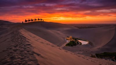 The Gobi Desert Survival Guide: Sand Sliding, Camels, and Epic Dunes in Dunhuang