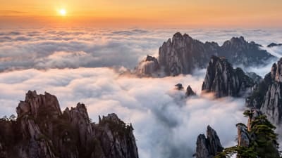 Suicide Path or Safe Thrill? The 2026 Survivor Guide to Huashan’s Plank Walk