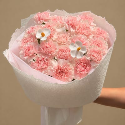 Pink Carnation Bouquet HB308