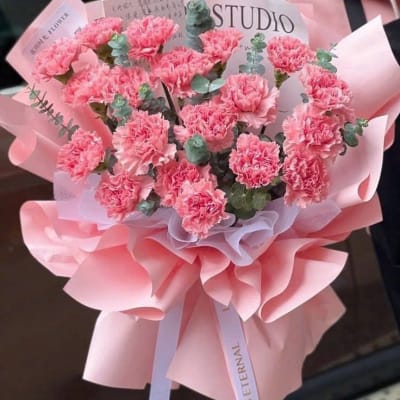 Bó hoa cẩm chướng đơn hồng công chúa HB314