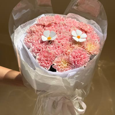 Bó hoa cẩm chướng hồng nhạt HB319