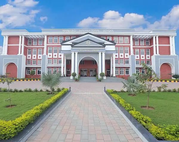 School Background