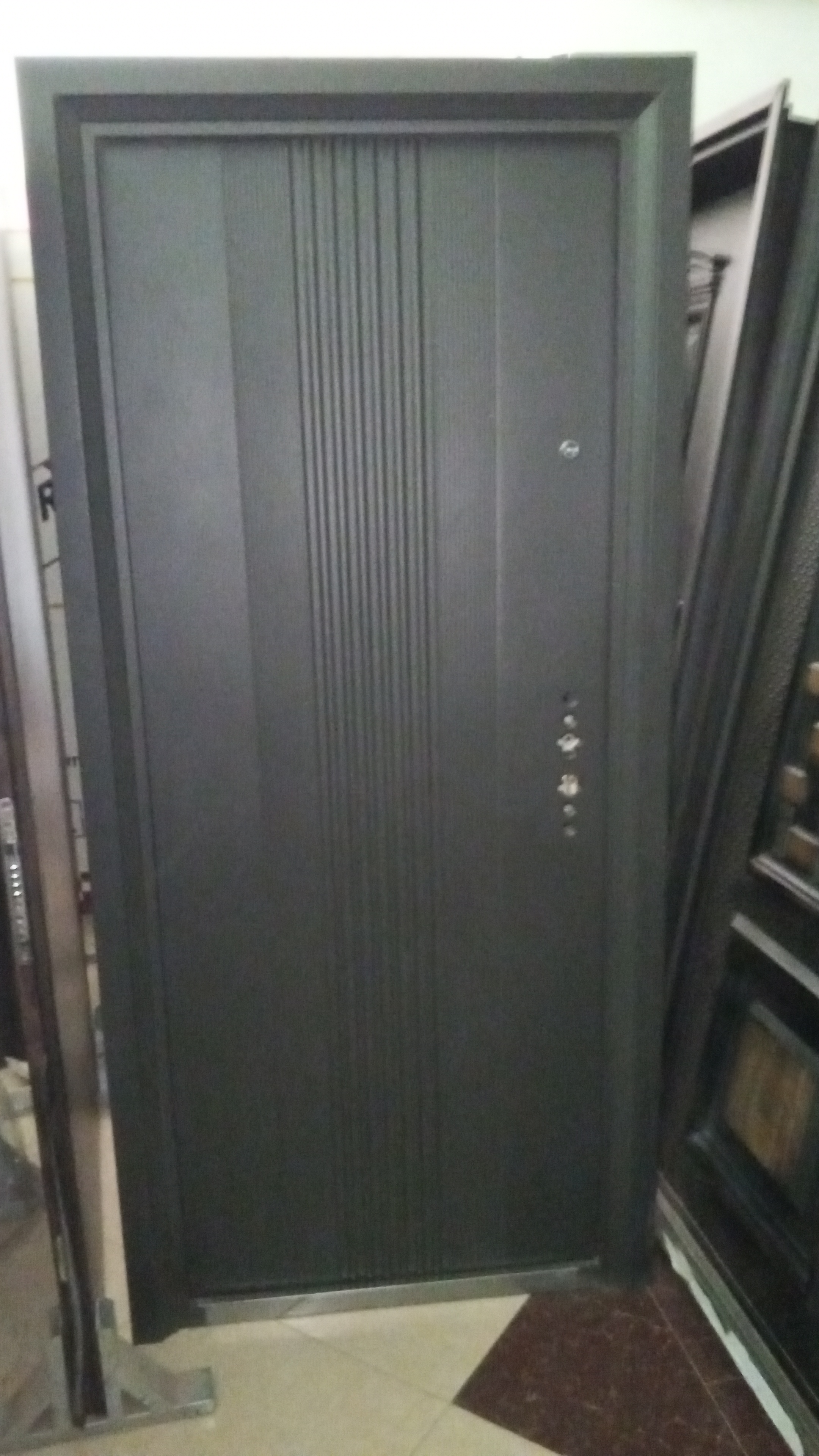 Security Door