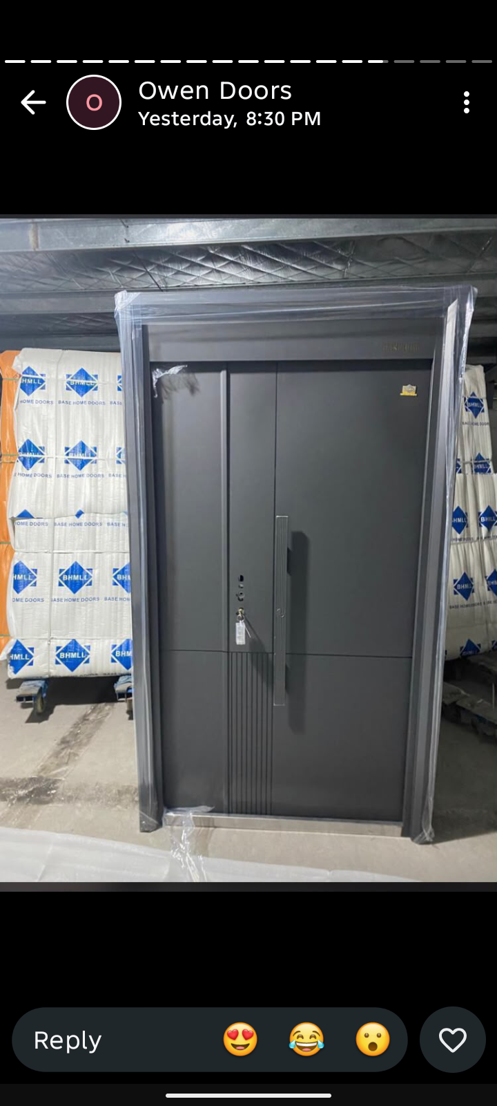 Security door