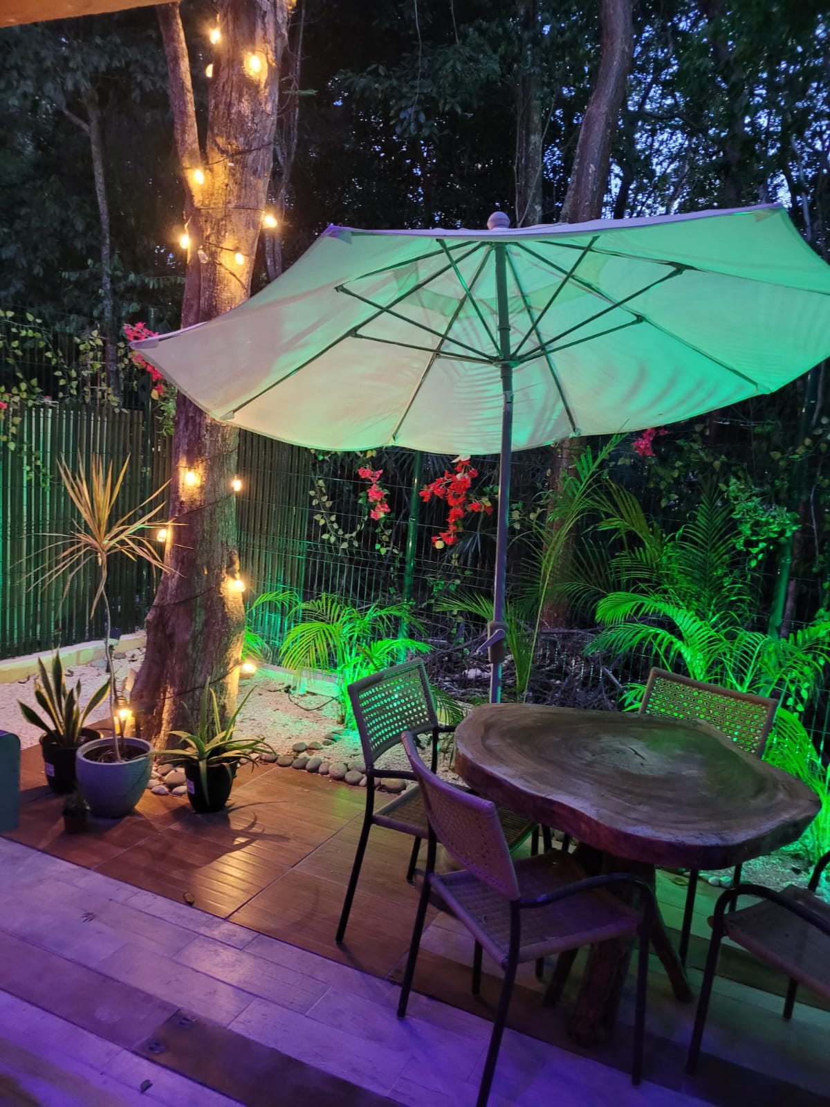 Casa Zen - Photo 10