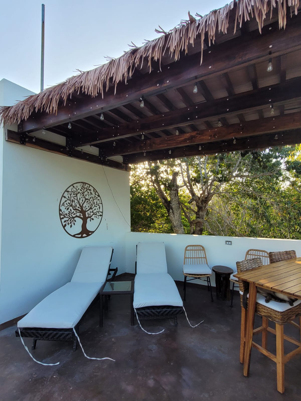 Casa Zen - Photo 23