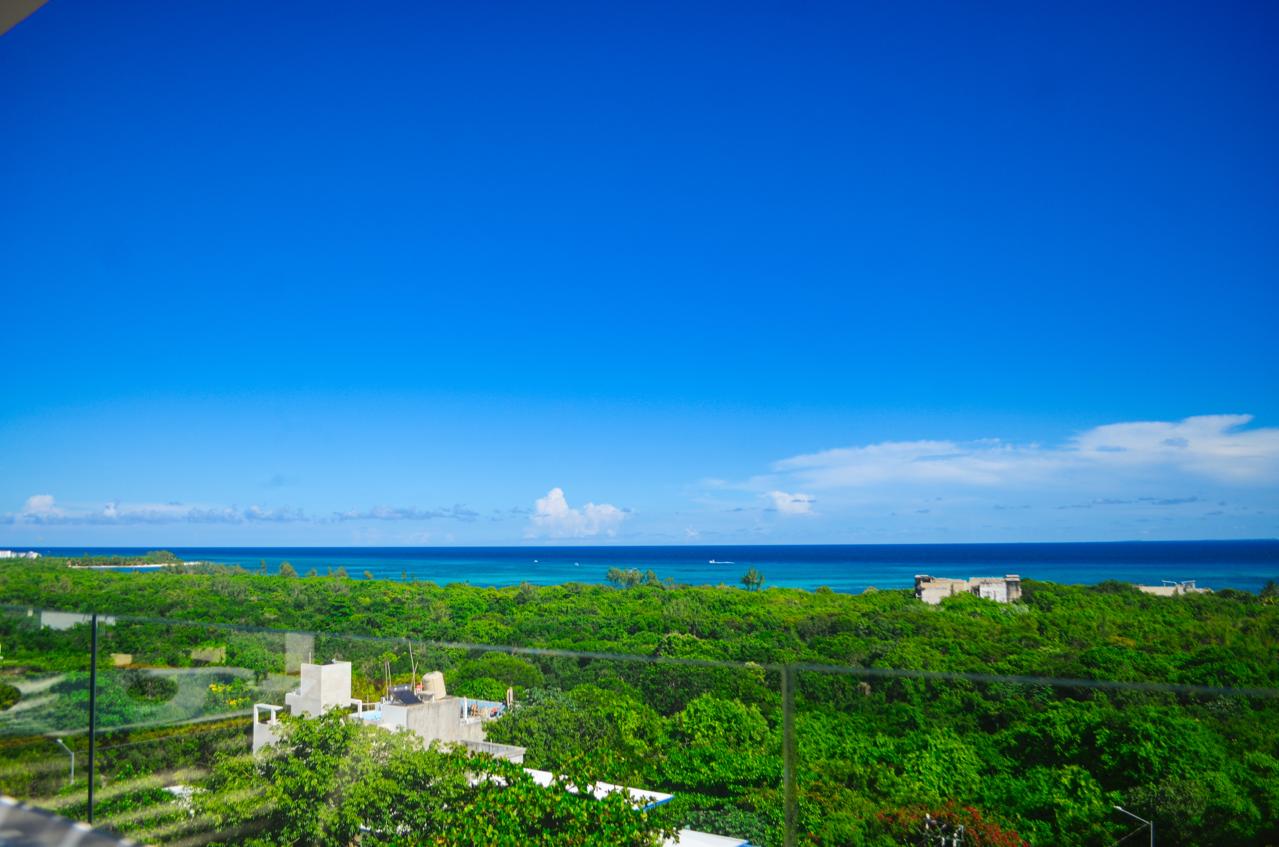 Caribique Studio - Photo 15
