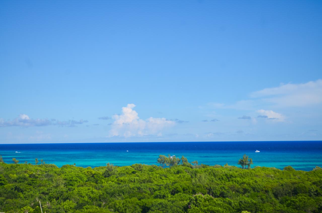 Caribique Studio - Photo 19