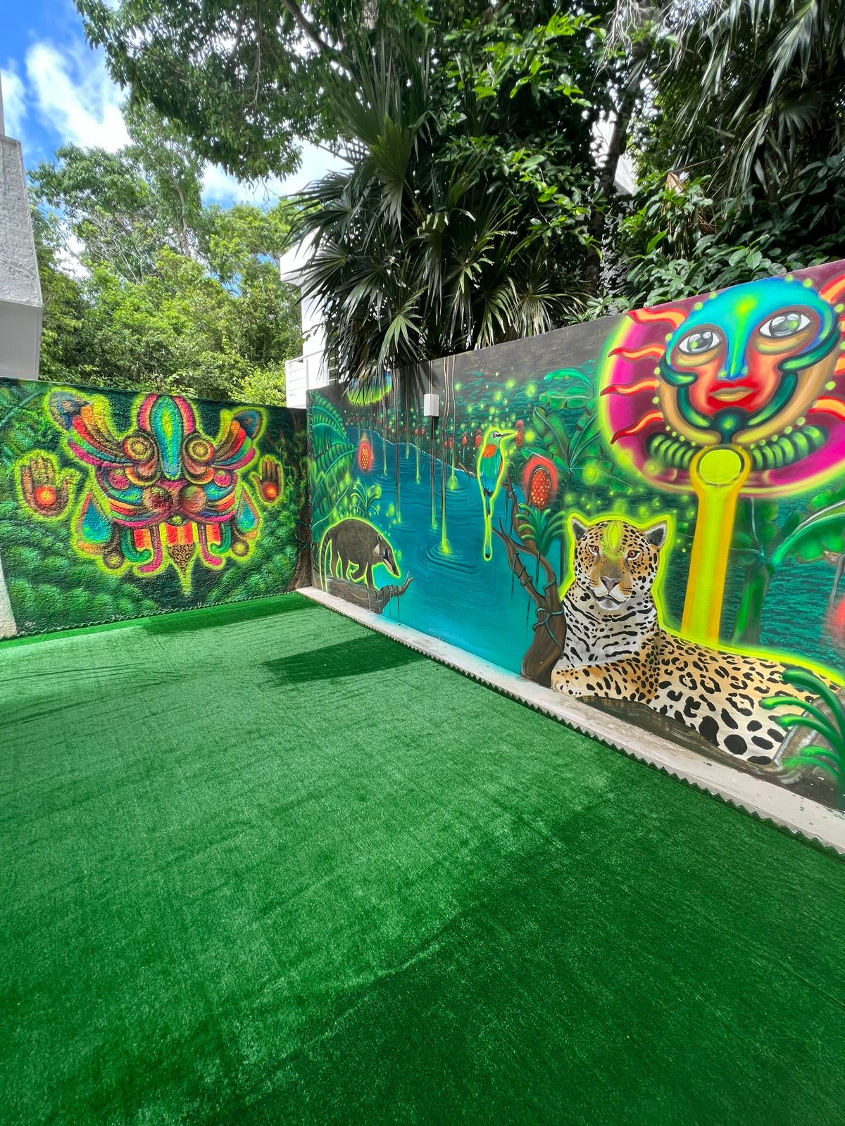 Casa Murales - Photo 15