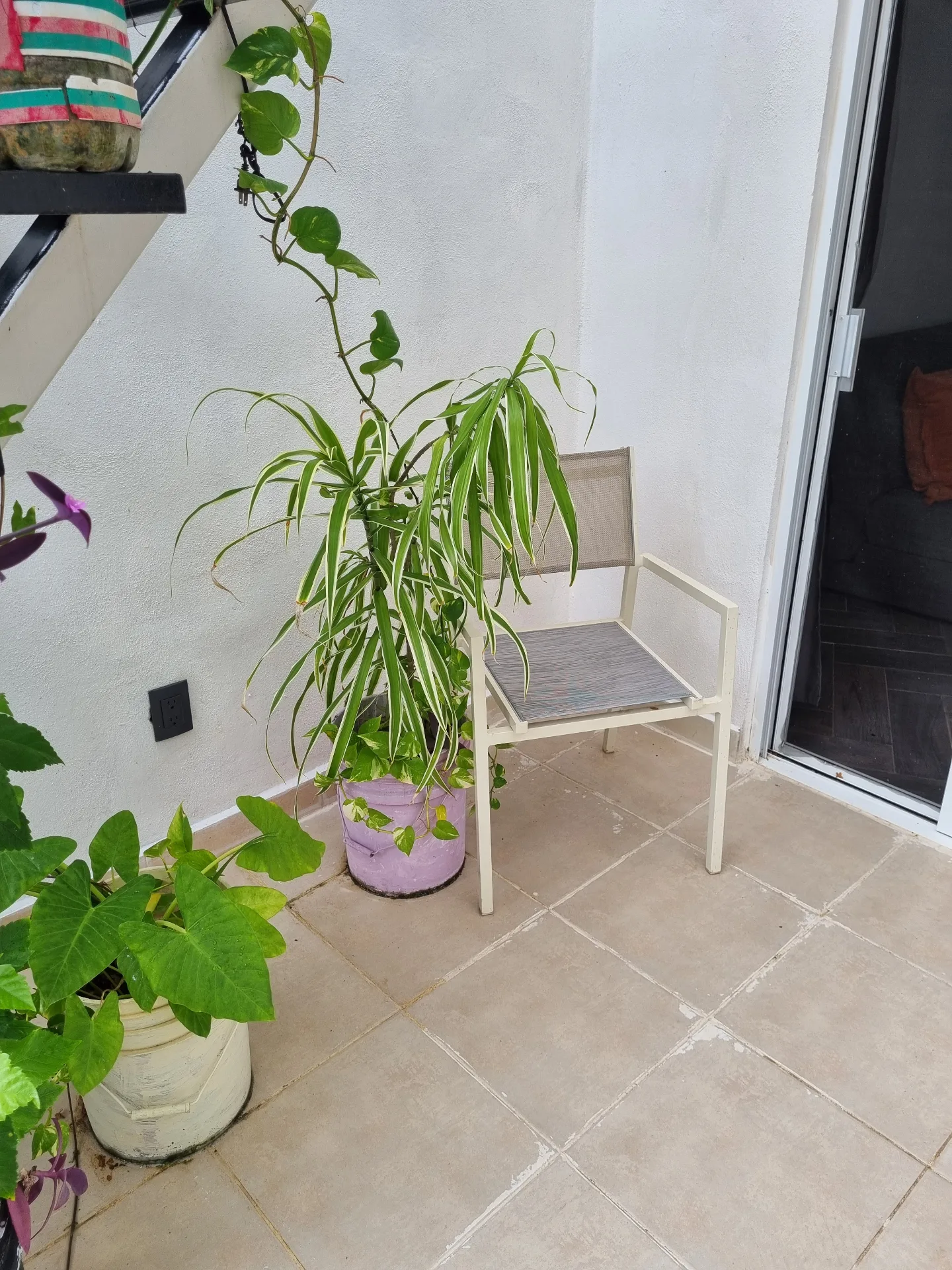 Casa Ana - Photo 22