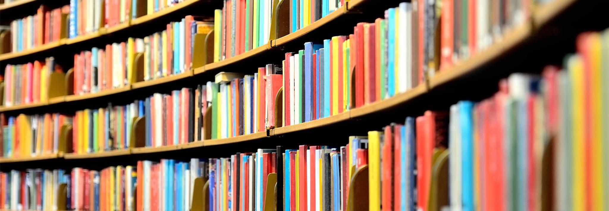 Books about education are showcased in a library.