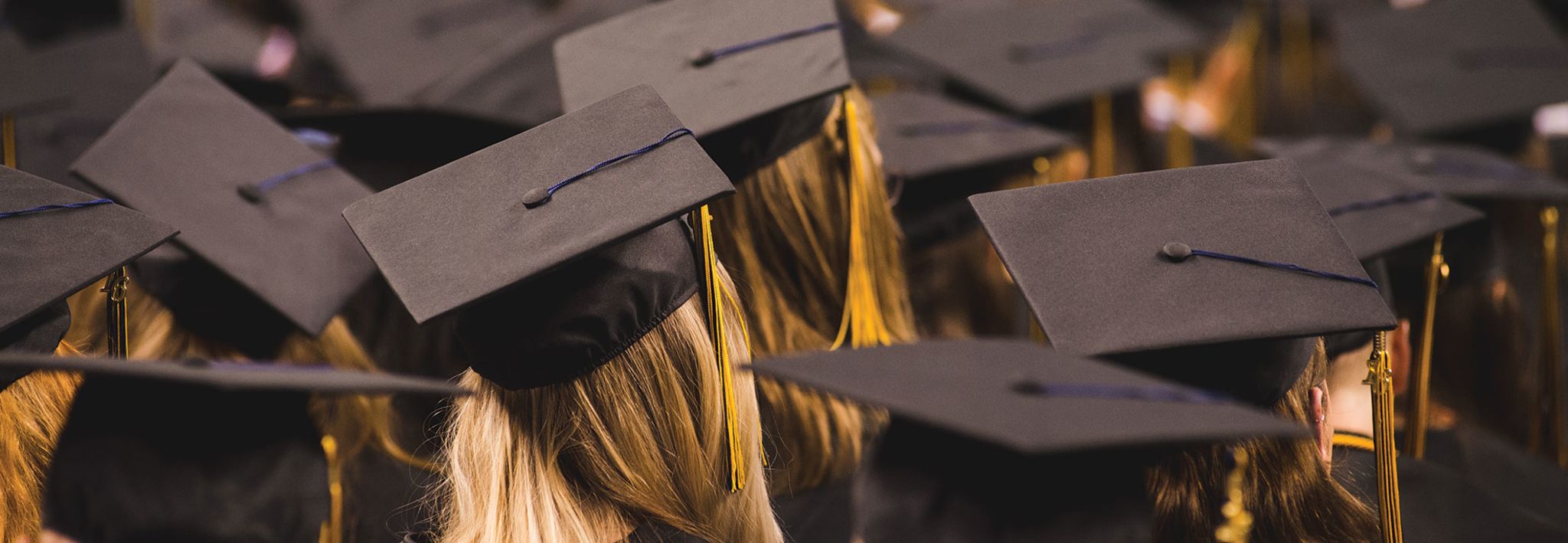 Scholarship Money On A White Background