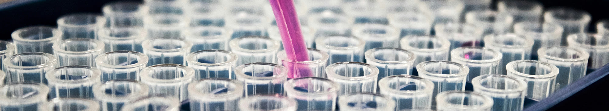 test tubes filled with liquid