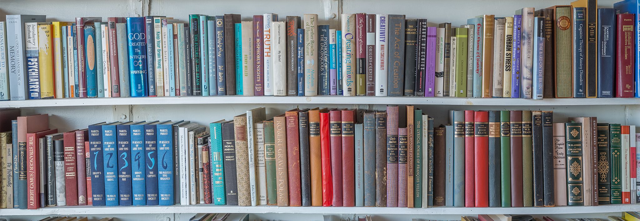 CCU's library book shelves. 