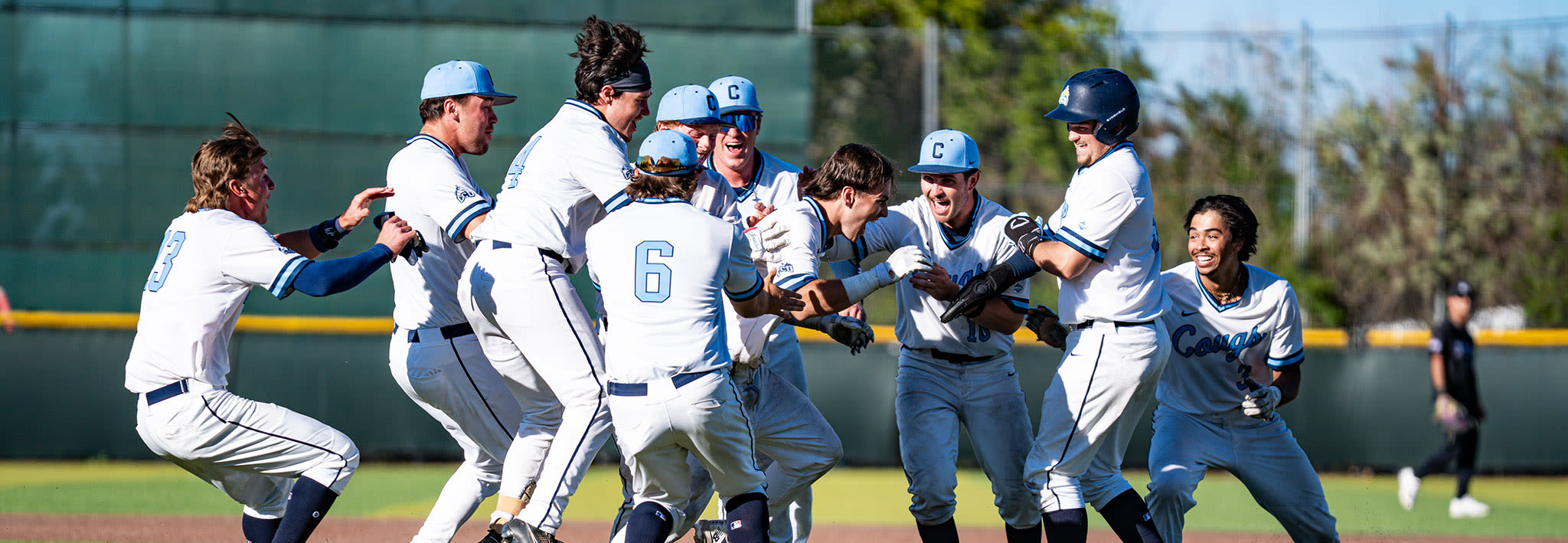mens baseball team celebrating