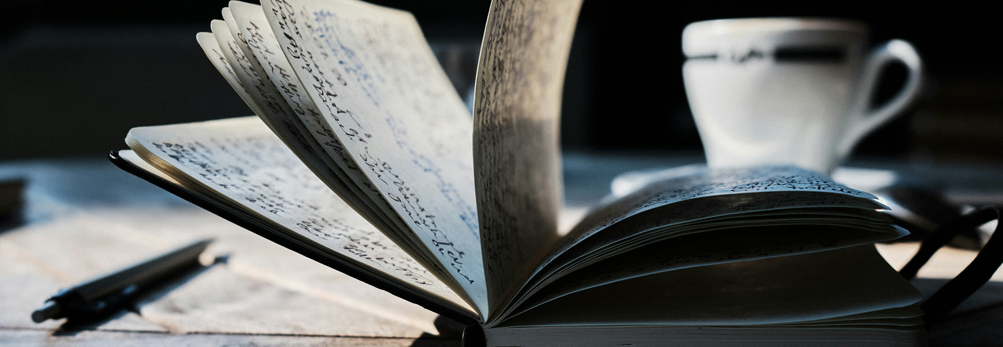 jerry jenkins writers guild with green background