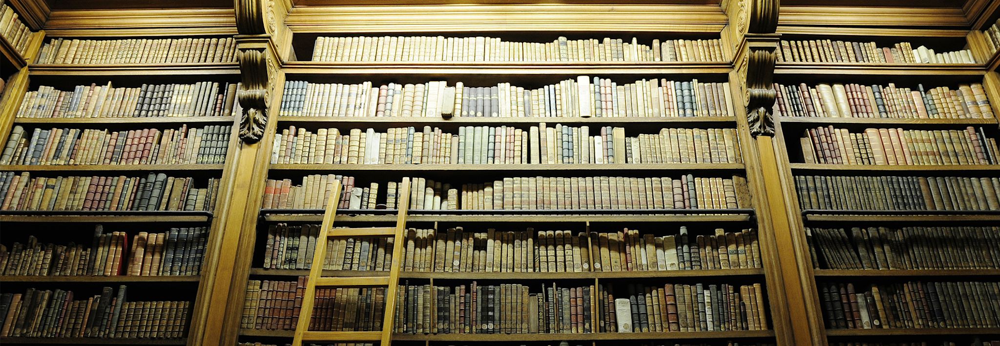 A collection of criminal justice books are displayed in a library.