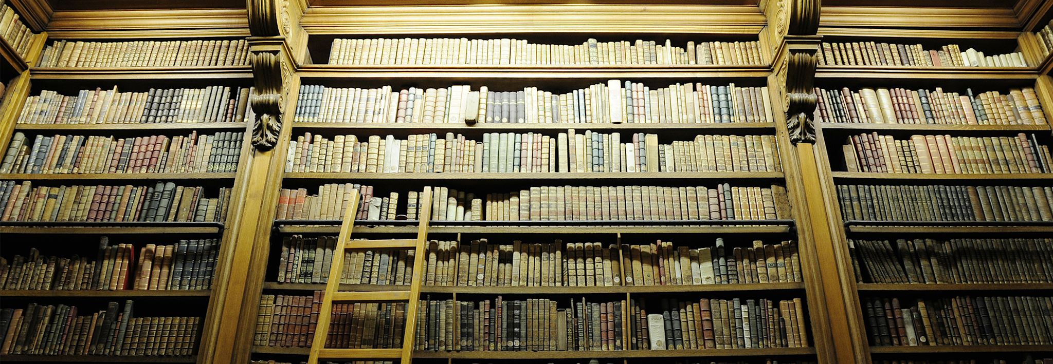 Criminal justice books A collection of criminal justice books are displayed in a library.