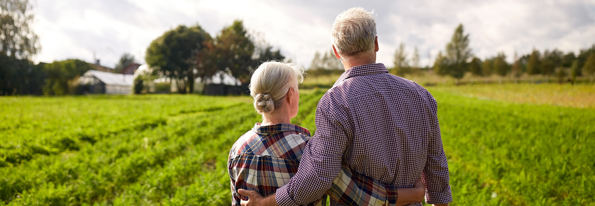 family looking out over a field