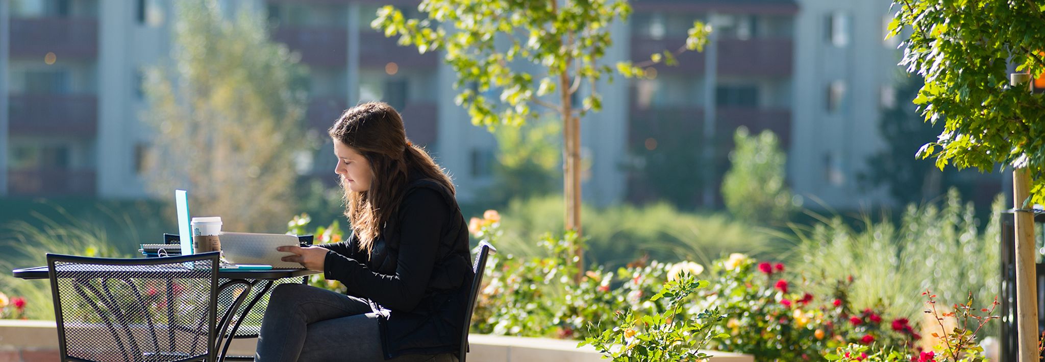 Student studying outside of Leprino on a nice sunny day. 