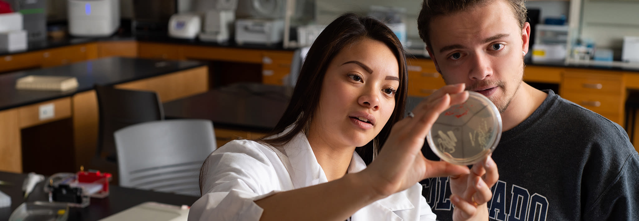 Students examining a petri dish