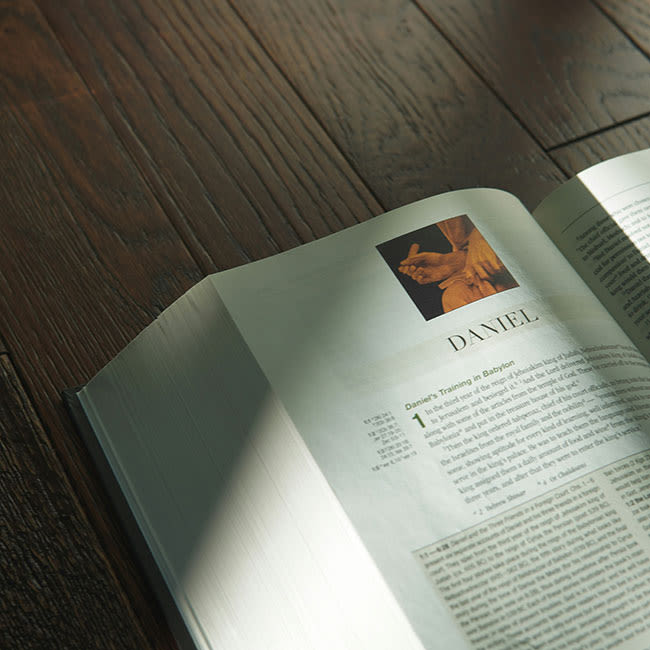 bible open on a table