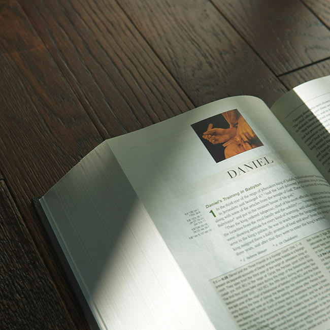 bible open on a table