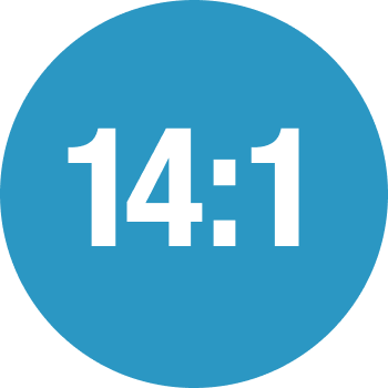 icon with the ration of 14 to 1