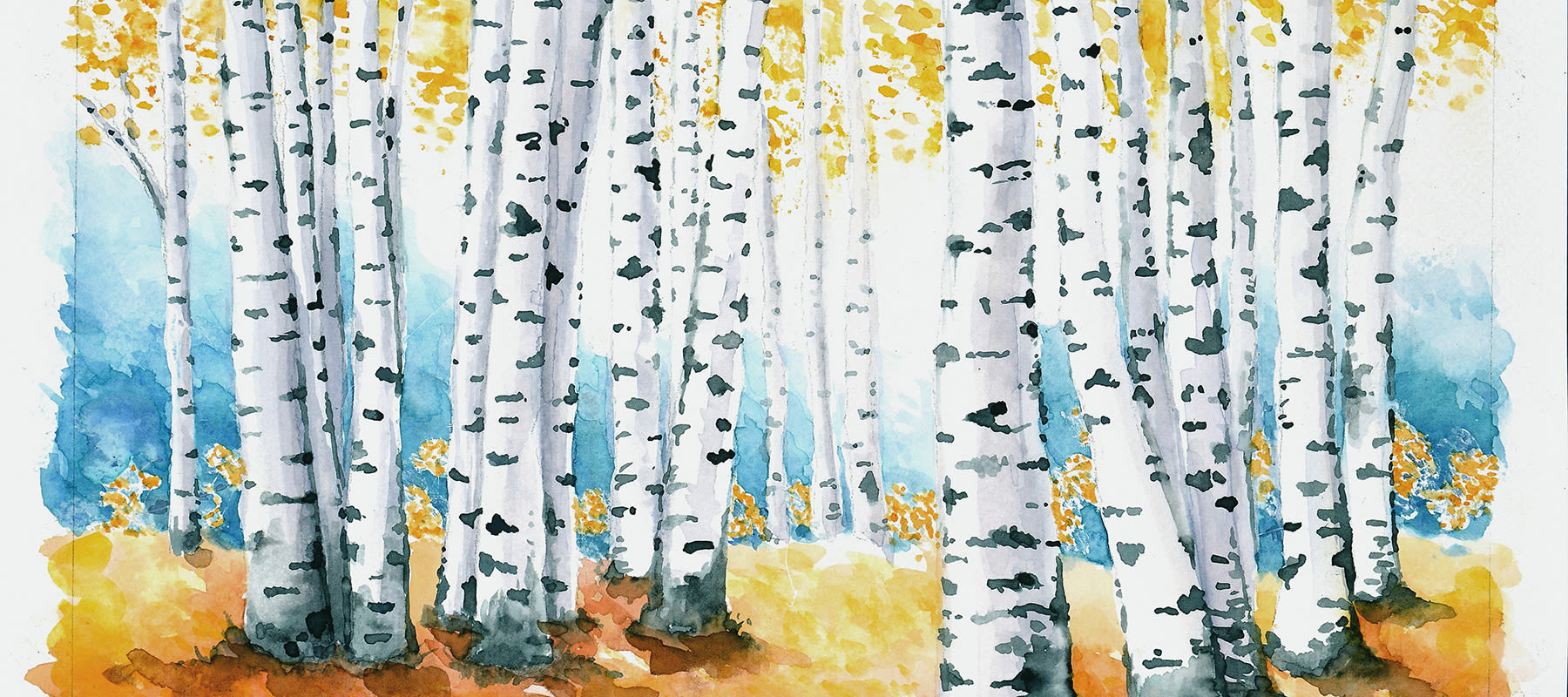 A watercolor painting of aspens in the fall