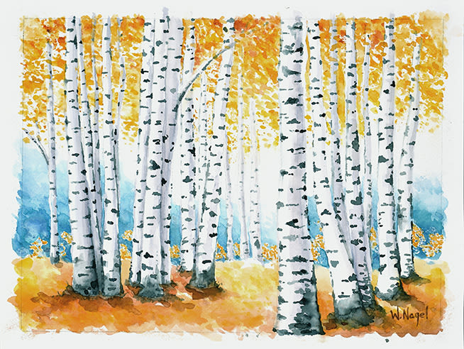 A watercolor painting of a stand of aspens in the fall 