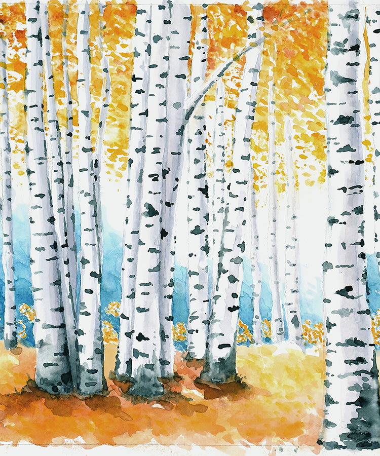 A watercolor painting of aspens in the fall