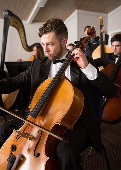 University Chamber Orchestra performer-in-the-chamber-strings-ensemble