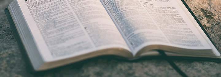 open bible sitting on a rock