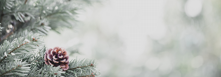 christmas garland covered in snow