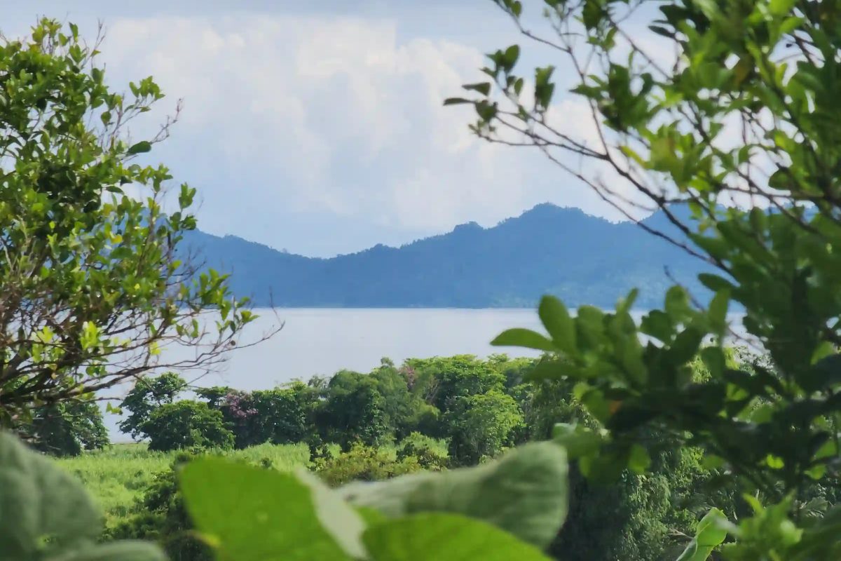 Naujan Lake in Socorro Oriental Mindoro Is Best Visited at First Light