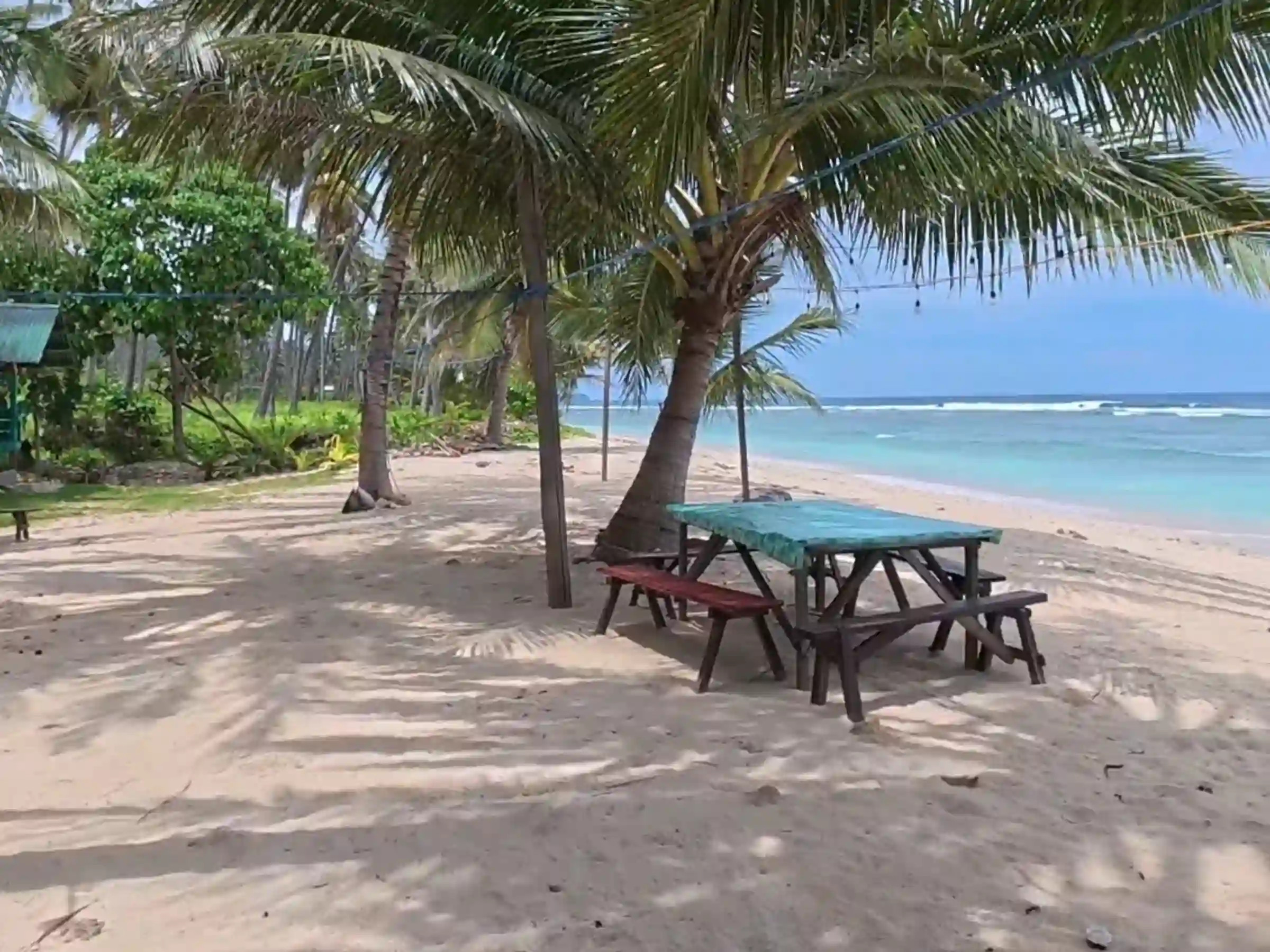 Picnic tables with a painted green top set on pale sand beneath leaning coconut palms at Lanca Shoreline Camping Site in Mati Davao Oriental