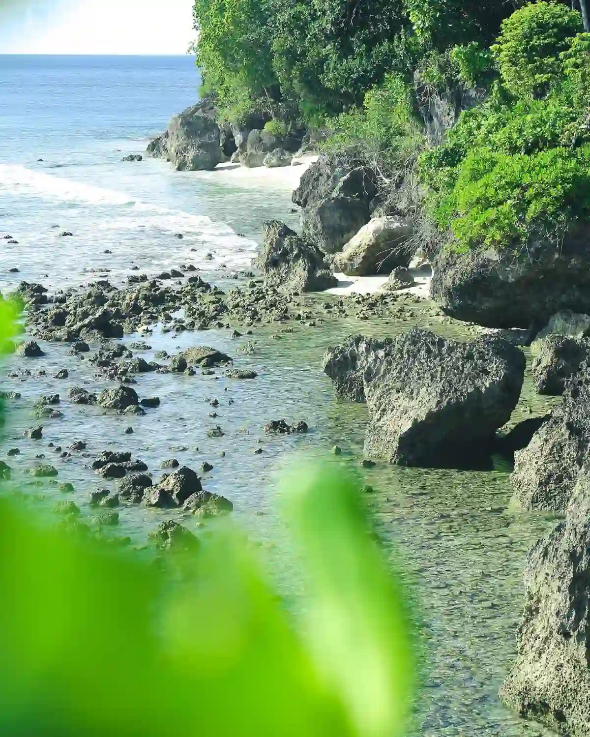 Rocky low tide shoreline at Cape San Agustin in Governor Generoso Davao Oriental with large boulder formations lining a narrow strip of pale sand and dense green vegetation along the cliff edge above