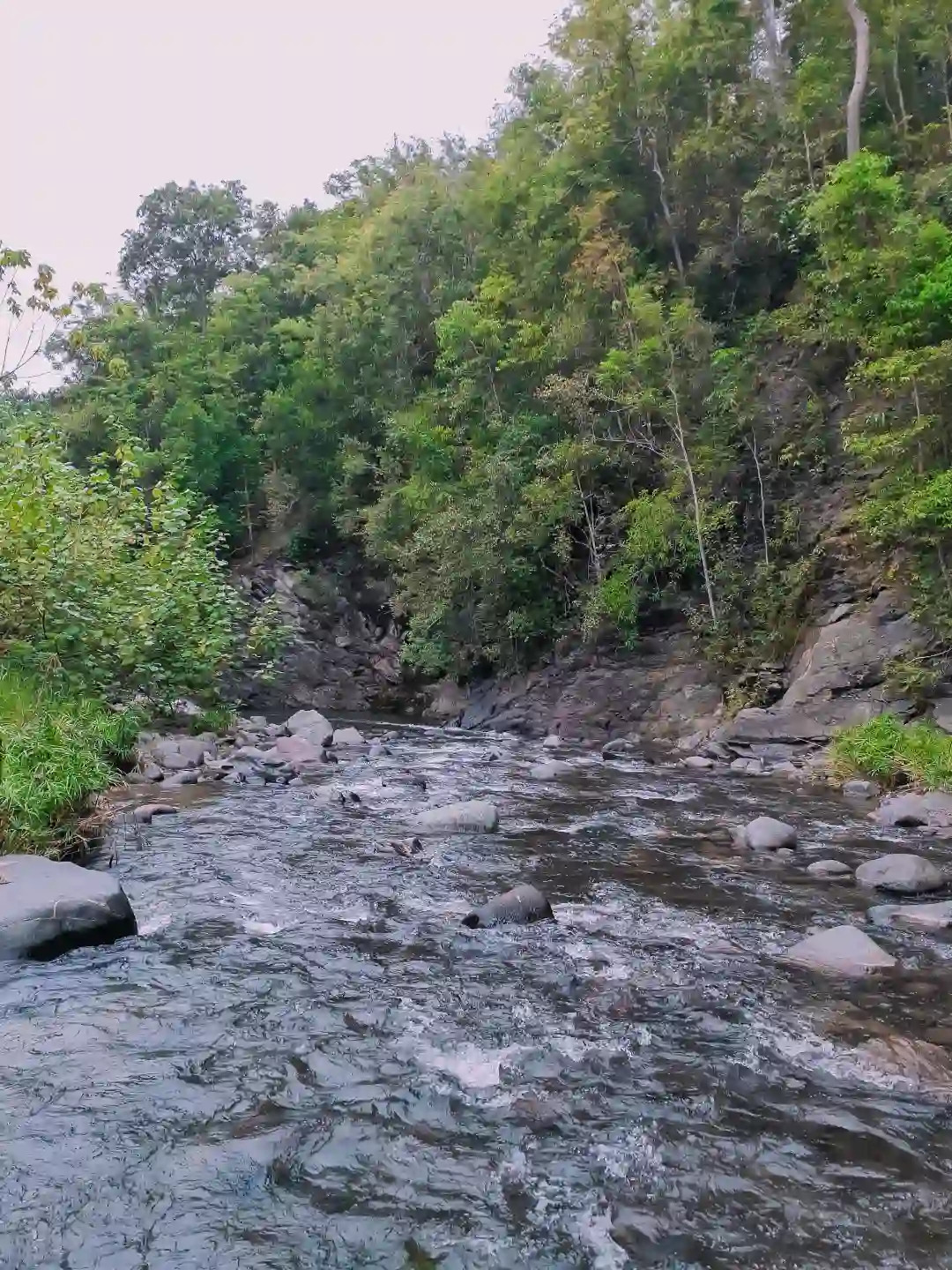 River water spilling over flat dark rock in a double cascade surrounded by dense green forest in Barangay Maputi San Isidro Davao Oriental